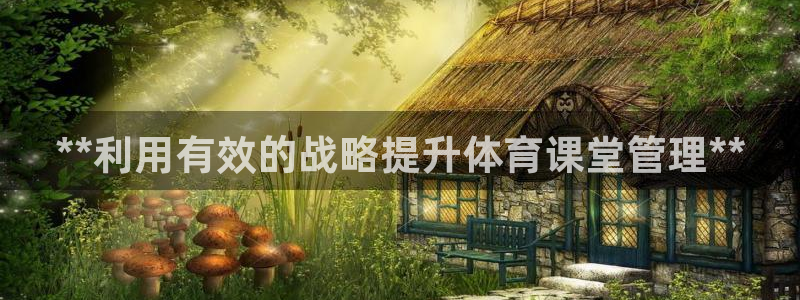 必一体育游戏特色：*