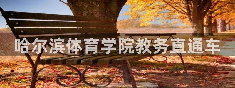 必一运动sport网
