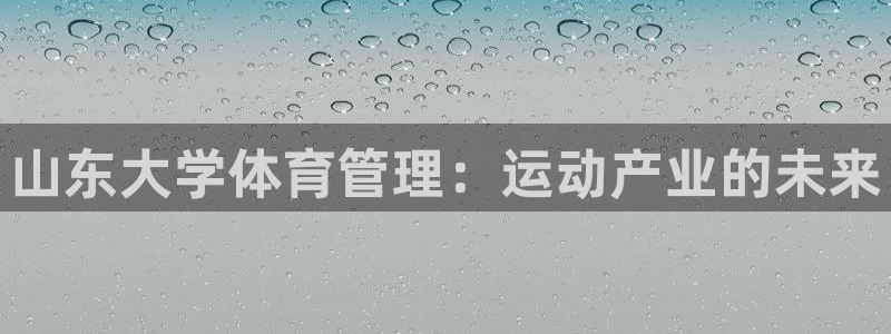 必一体育秀给网：山东
