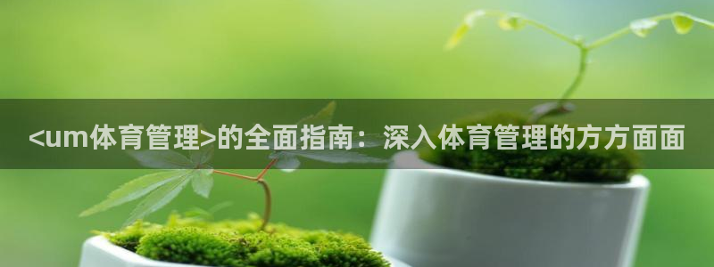必一体育网址