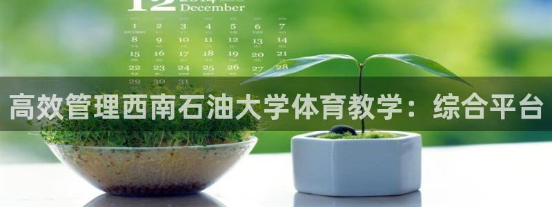 必一体育运动app下载