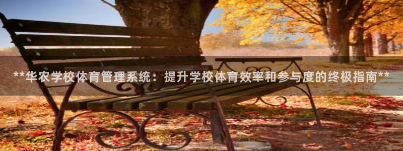 必一体育官方入口：*