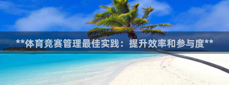 必一体育官方网站入口