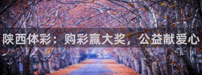 必一运动官网登录入口