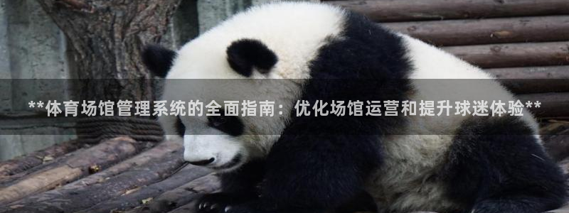 必一体育可靠吗：**