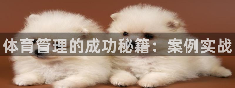 必一体育下载入口
