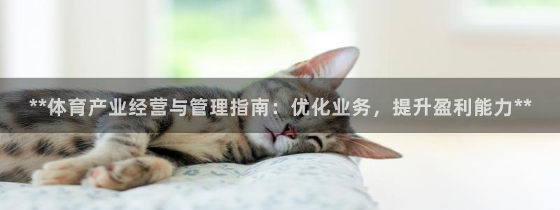 必一运动体育app：