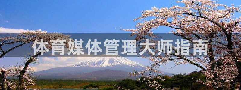 必一体育电子app：