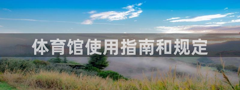 必一体育官网app