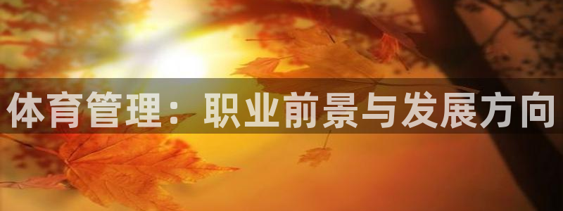 必一体育游戏玩法：体