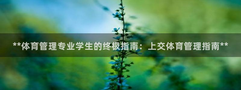 Bsport体育ap