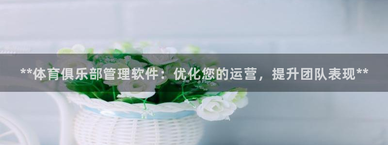 必一体育登录入口AP