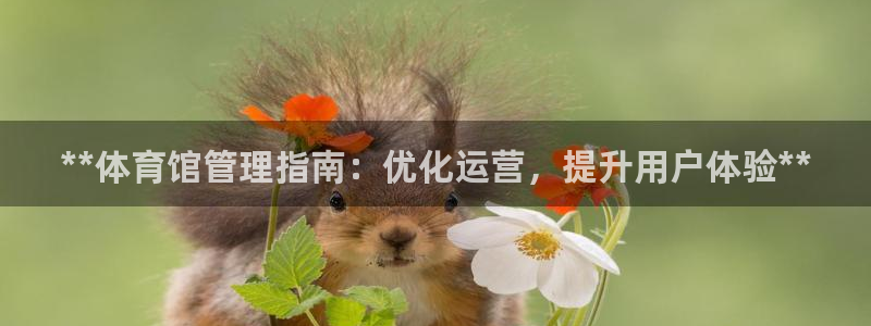 必一体育官网入口：*