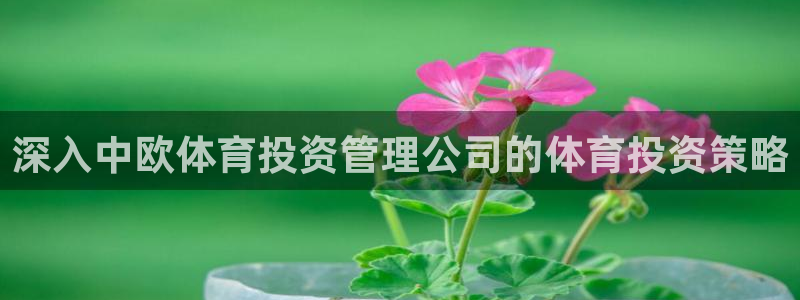必一体育官网app：