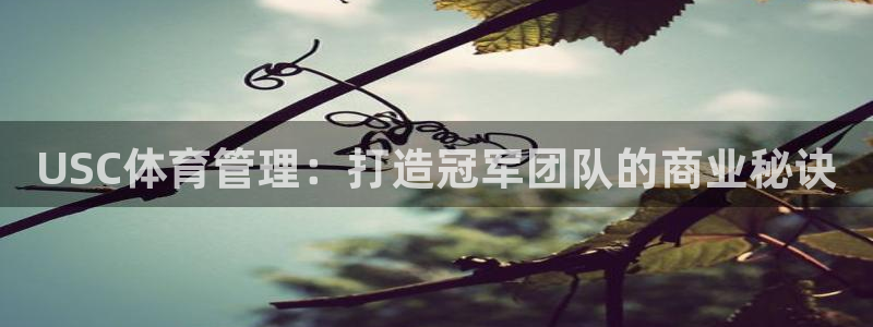 必一体育app下载最新版本苹果