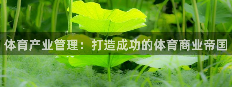 必一体育在线登录