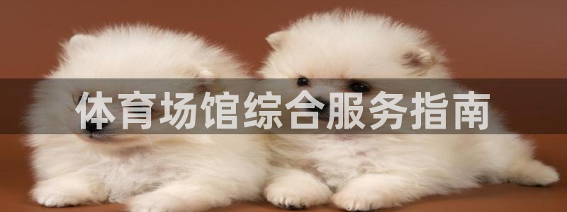 必一体育旧版：体育场