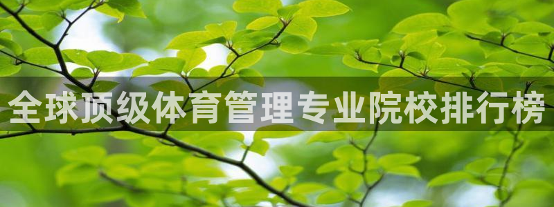 必一体育APP：全球