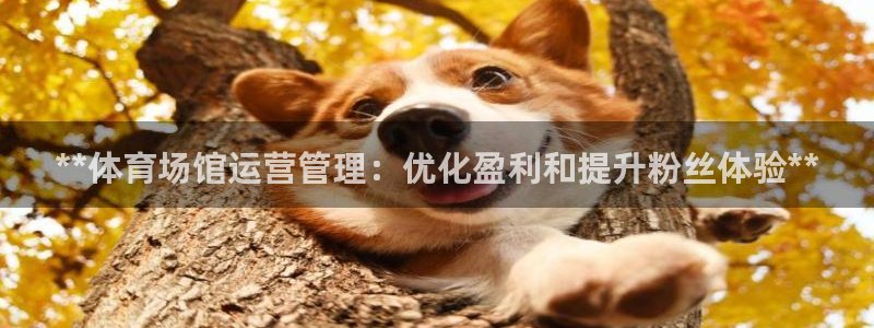 必一体育在线官网：*