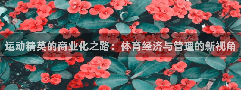 必一体育下载移动版