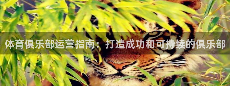 必一体育APP