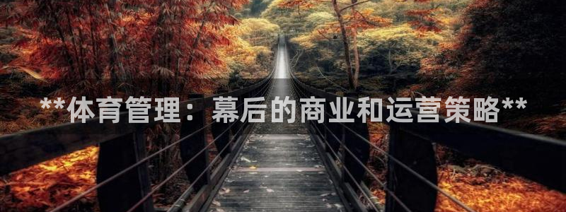 必一体育服下载最新版