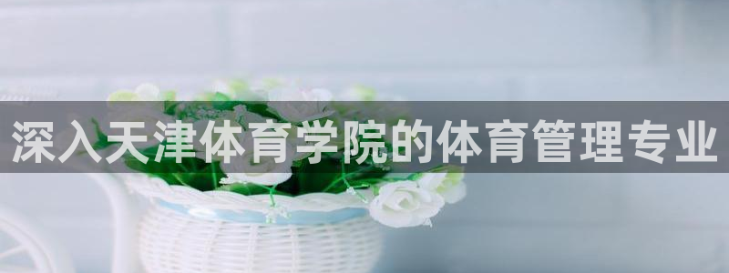 必一体育运动app