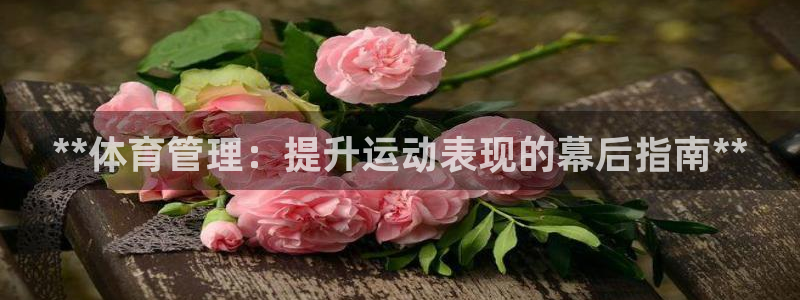 必一体育游戏特色