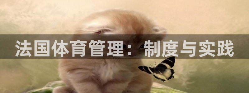 必一体育验证码：法国