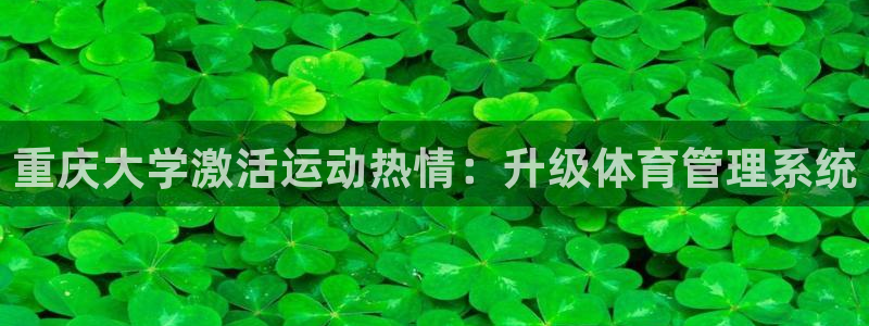 必一体育登录入口