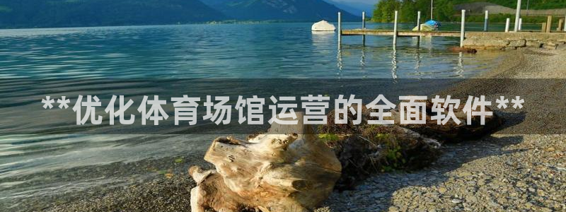 必一体育运动app下