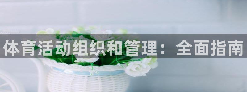 必一体育登录入口APP