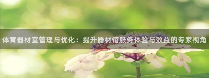 必一体育app官方网