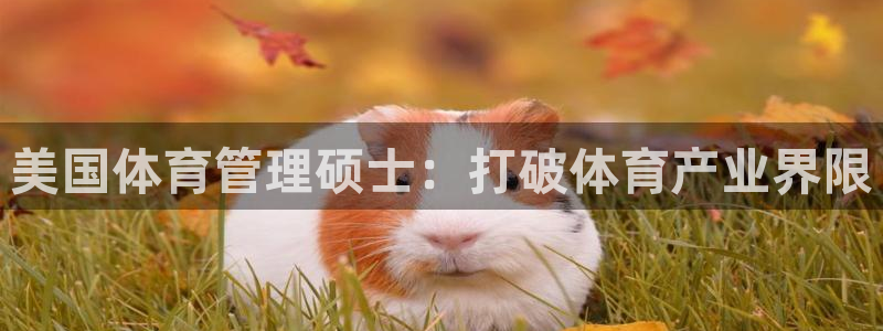 必一体育官方下载入口