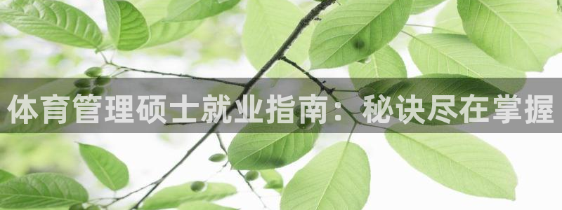 必一体育app官方