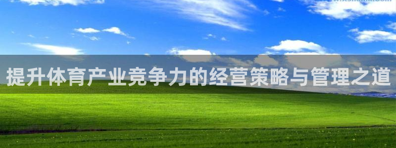 必一体育官方入口：提升体育产业竞争力的经营策略与管理之道