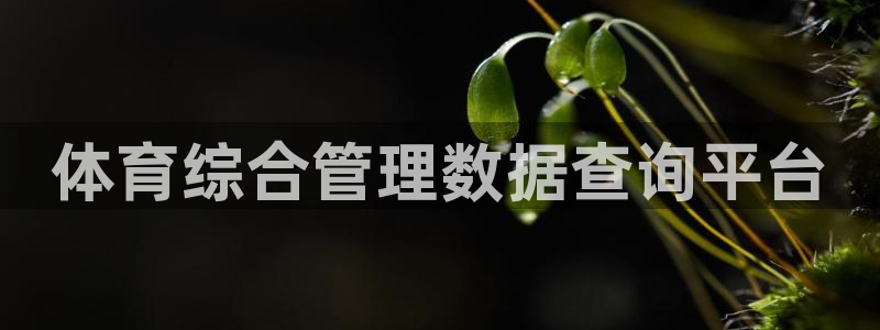 必一体育sport：