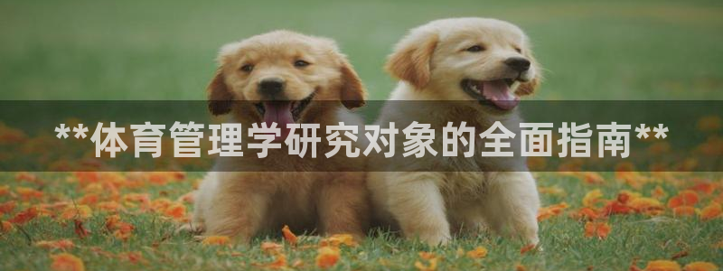 必一体育bsport