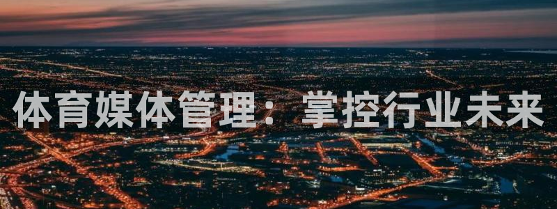 必一运动 b 体育素描版