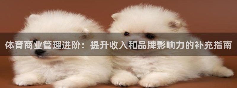 必一体育没了：体育商