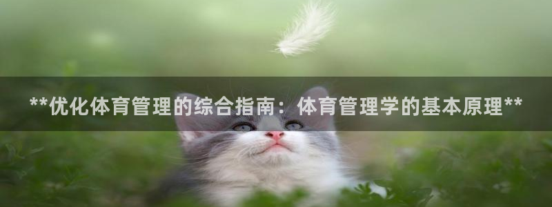必一体育能提现大金额
