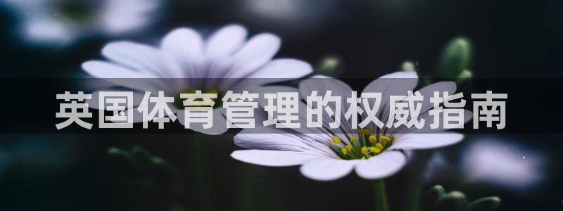 必一体育最新官网入口首页
