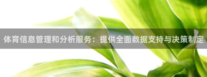 必一运动·体育：体育信息管理和分析服务：提供全面数据支持与决