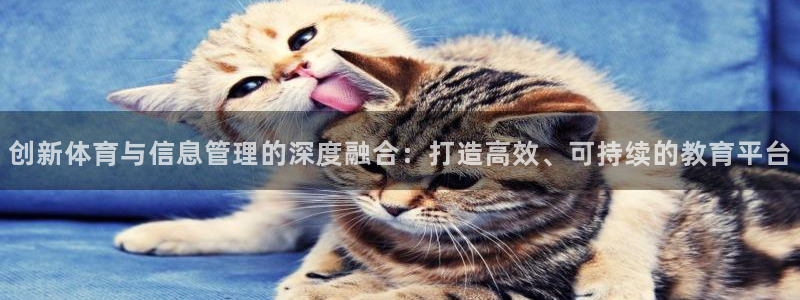必一运动sport爱