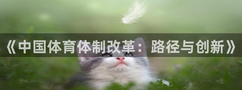 必十二和必一的副作用