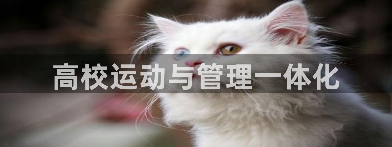 必一体育官方下载入口