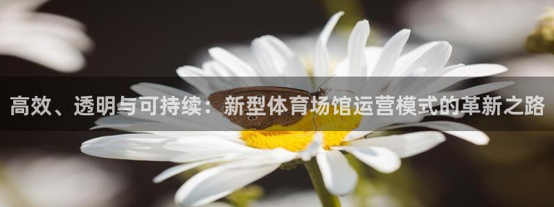 必一体育下载移动版：