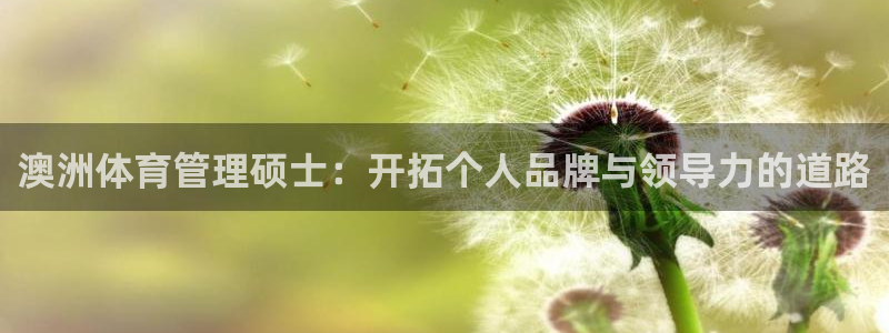 必一体育bsport