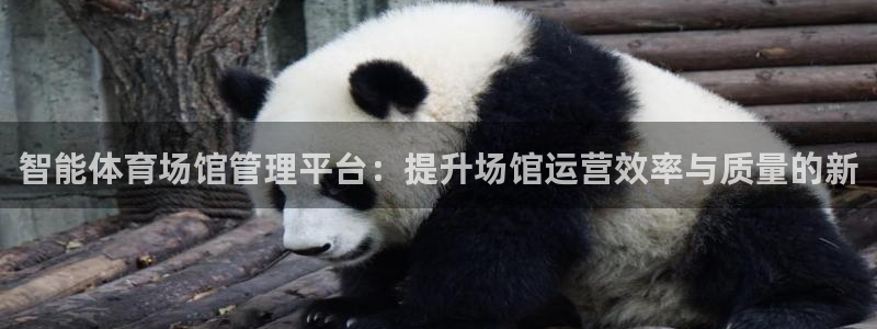 b体育官网下载入口a