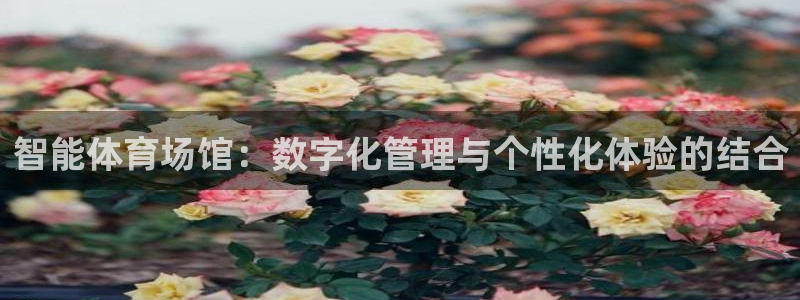 必一运动·(B-Sp
